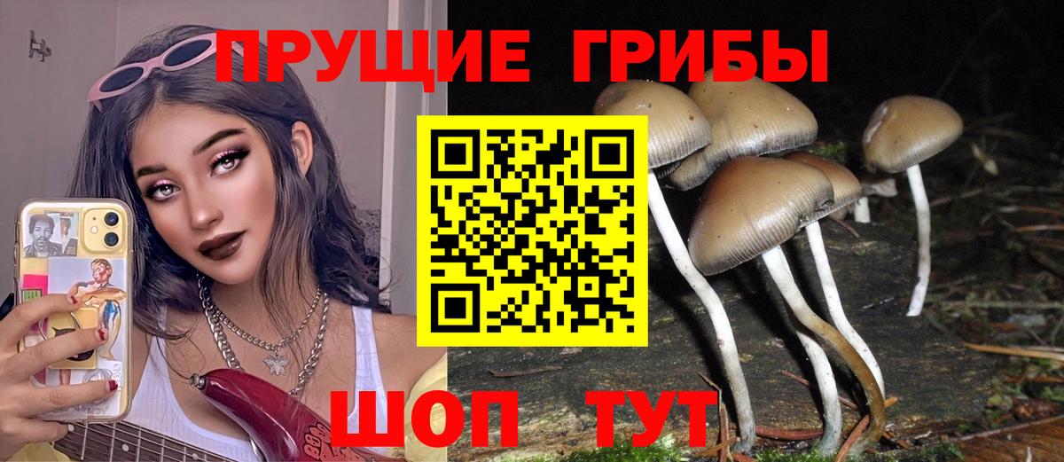 Унеча  Галлюциногенные грибы мицелий  Псилоцибиновые грибы ЛСД  купить  сайты  Вход с VPN 