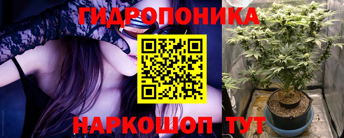 Бошки Шишки марихуана  Марихуана индика  Вход с VPN  Каннабис Ganja  Унеча 